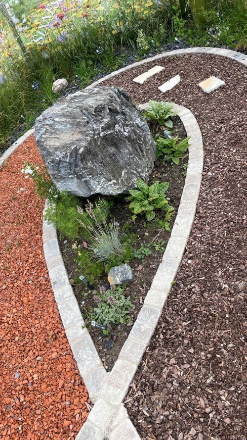 Und so schauts im Beet aus