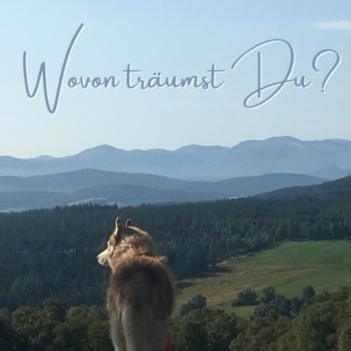 Wovon träumst Du_