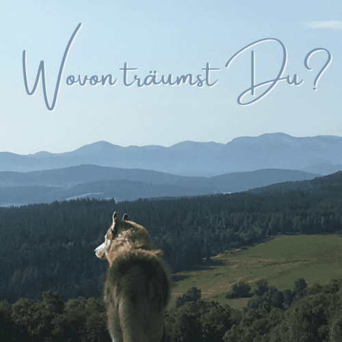 Wovon träumst Du_