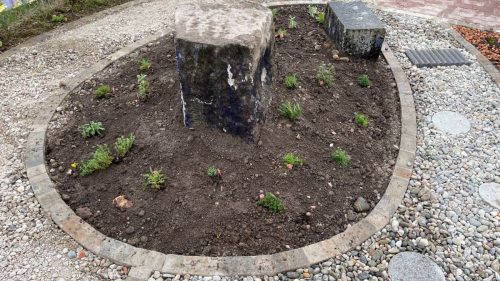 Hier sind die Kräuter