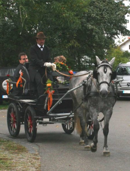 Celestino an der Hochzeitskutsche