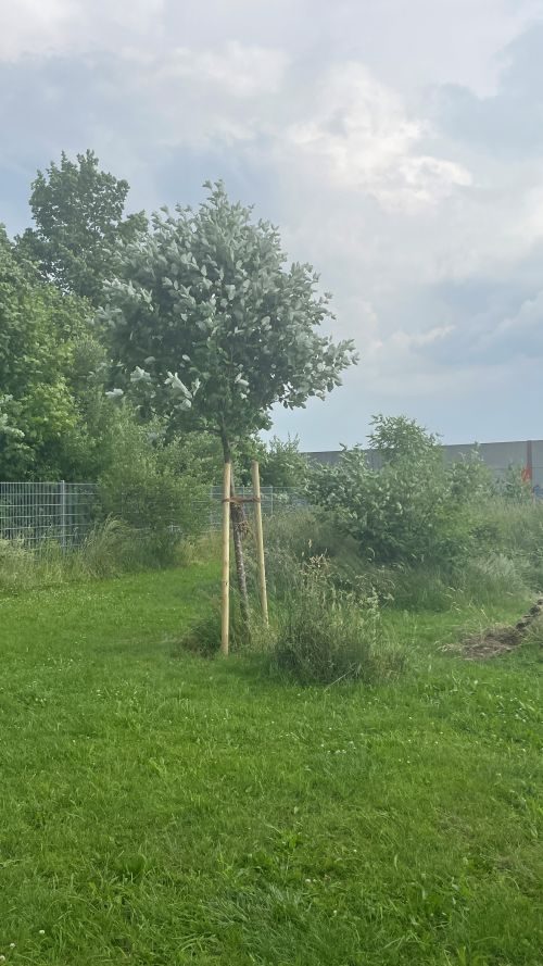 Ein gescheiterter Selbstversuch